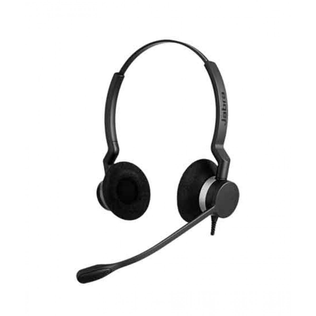 BIZ 2300